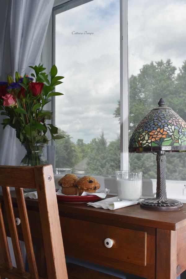 Winridge Manor Bed And Breakfast Madison Heights Exterior photo